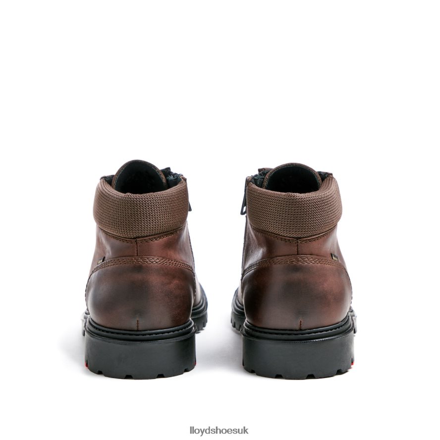LLOYD Men VANCOUVER H4BXXT534 Shoes brown