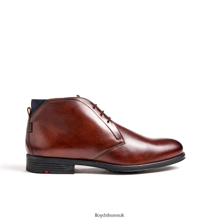 LLOYD Men VANE H4BXXT131 Shoes brown