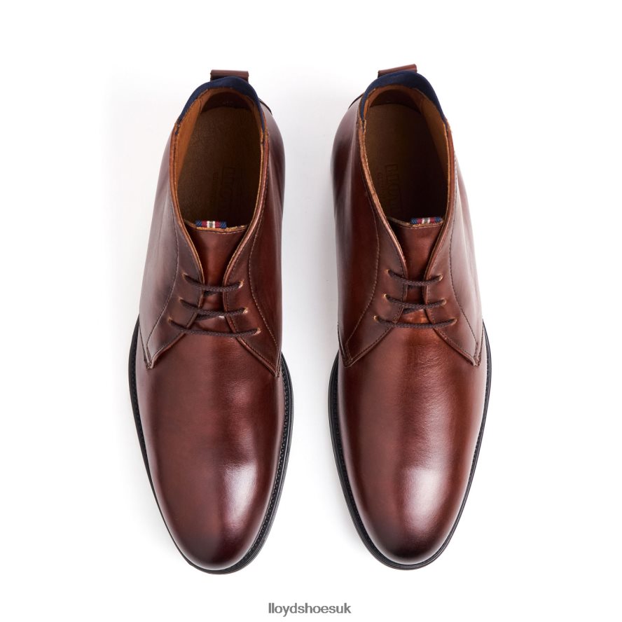 LLOYD Men VANE H4BXXT131 Shoes brown