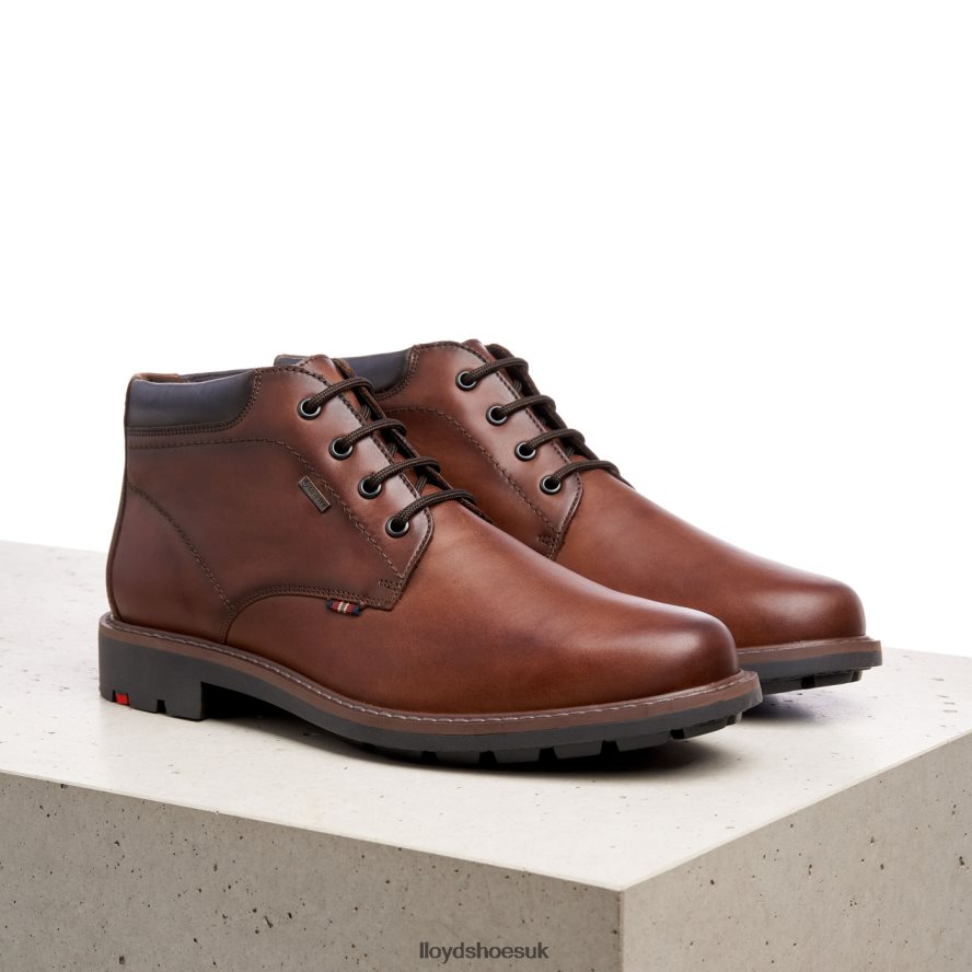 LLOYD Men VARLEY H4BXXT533 Shoes brown