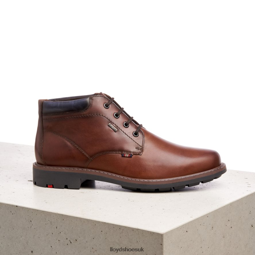 LLOYD Men VARLEY H4BXXT533 Shoes brown