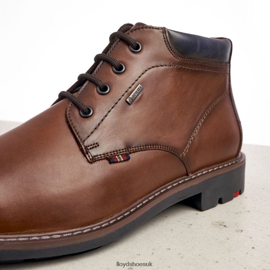 LLOYD Men VARLEY H4BXXT533 Shoes brown