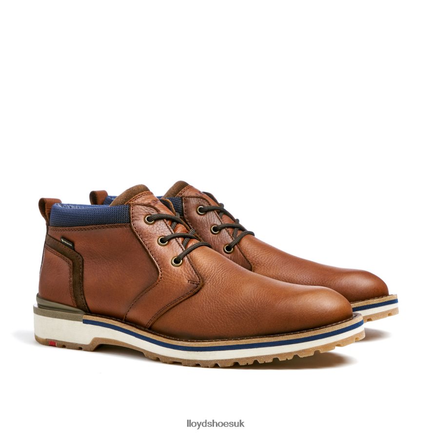 LLOYD Men VEGAS H4BXXT511 Shoes brown