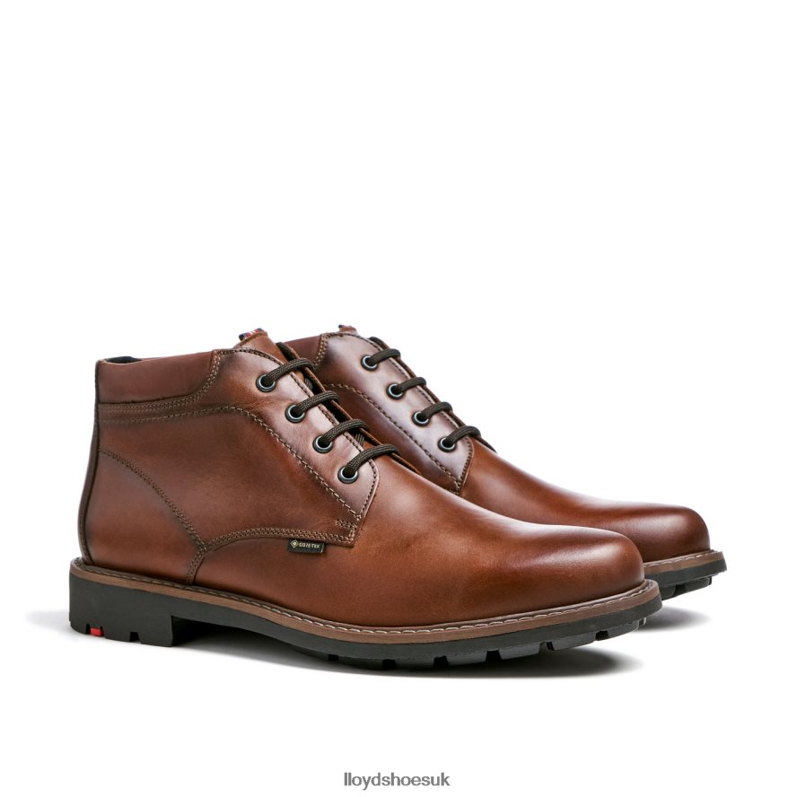 LLOYD Men VISCO H4BXXT515 Shoes brown