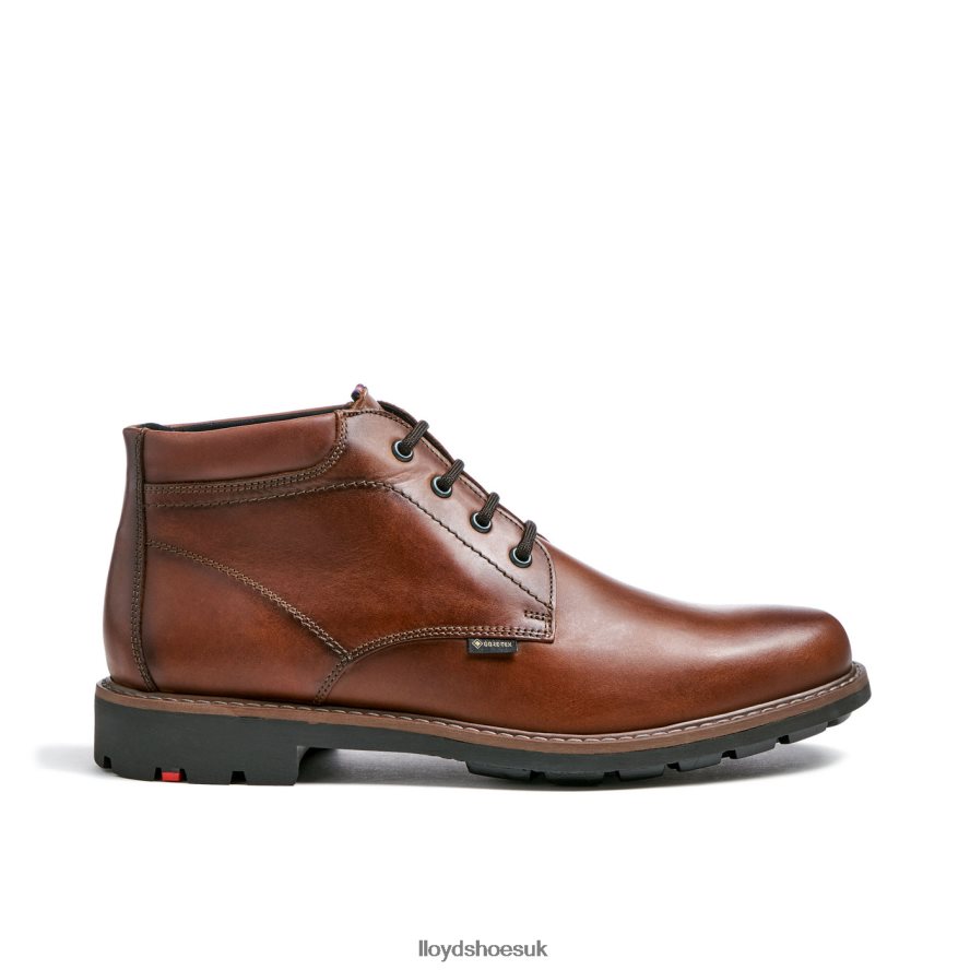 LLOYD Men VISCO H4BXXT515 Shoes brown