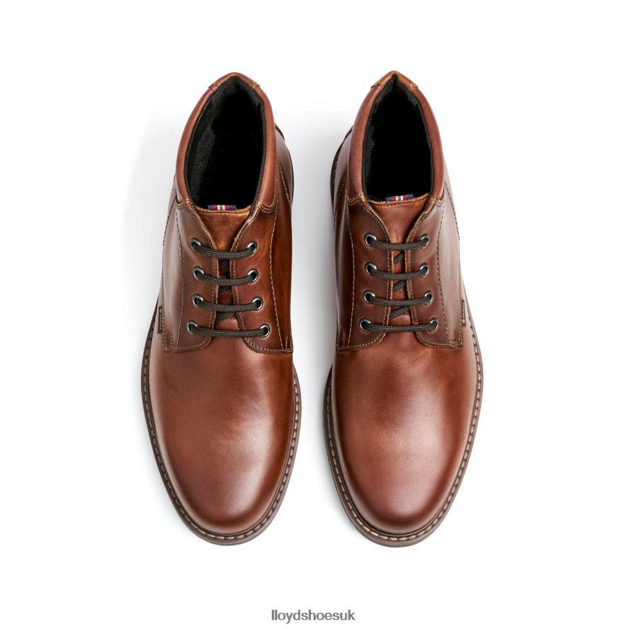 LLOYD Men VISCO H4BXXT515 Shoes brown