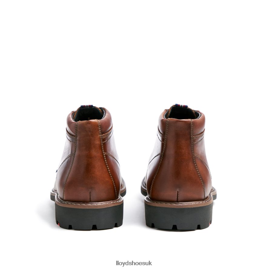 LLOYD Men VISCO H4BXXT515 Shoes brown