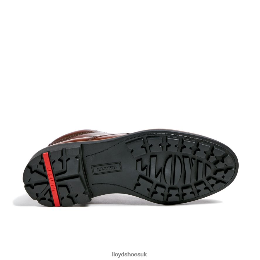 LLOYD Men VISCO H4BXXT515 Shoes brown