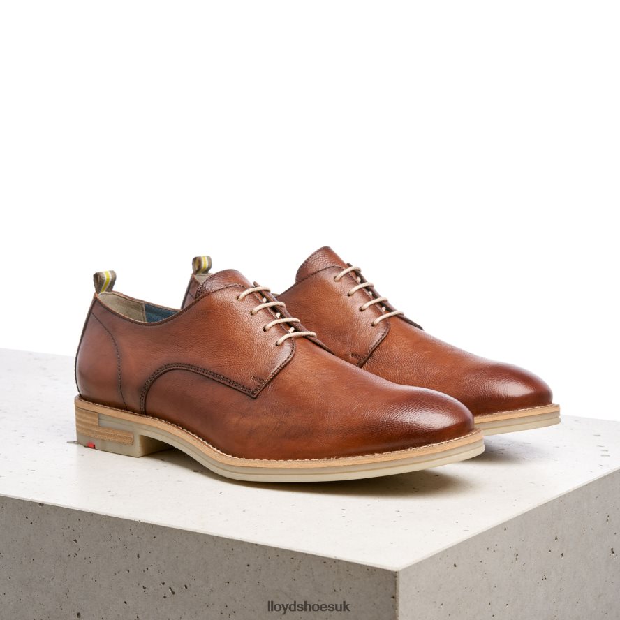 LLOYD Men DAKOTA H4BXXT608 Shoes brown