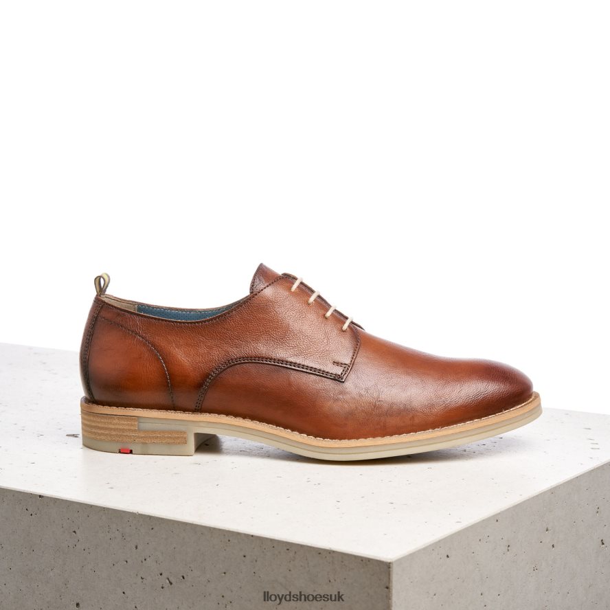 LLOYD Men DAKOTA H4BXXT608 Shoes brown