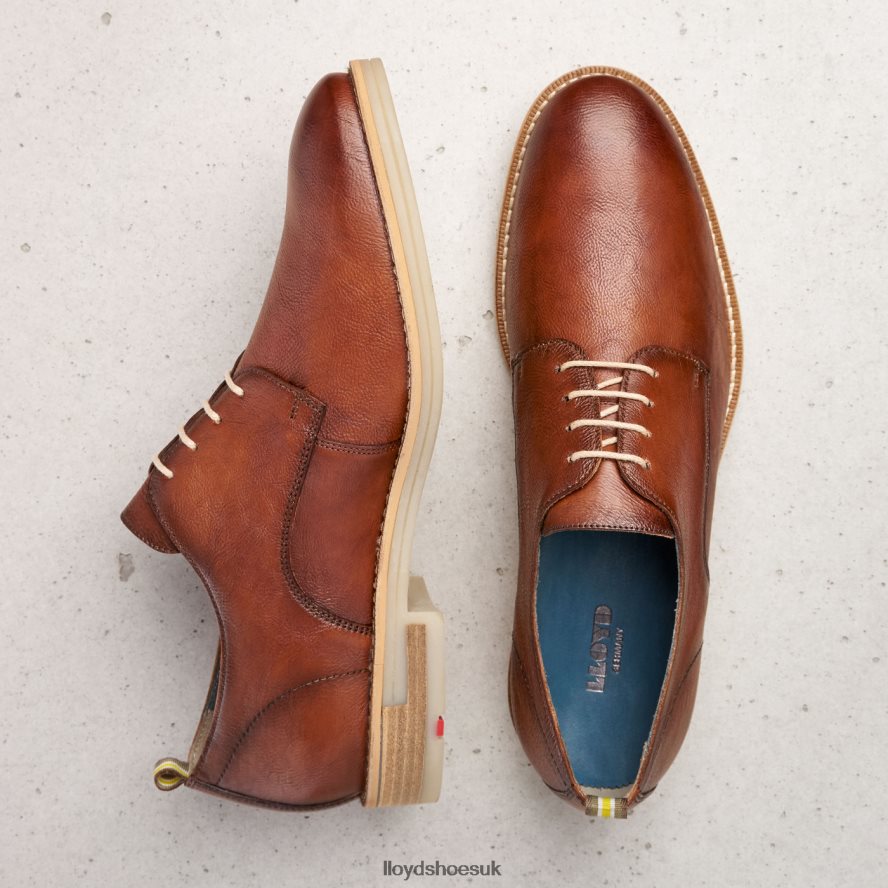LLOYD Men DAKOTA H4BXXT608 Shoes brown