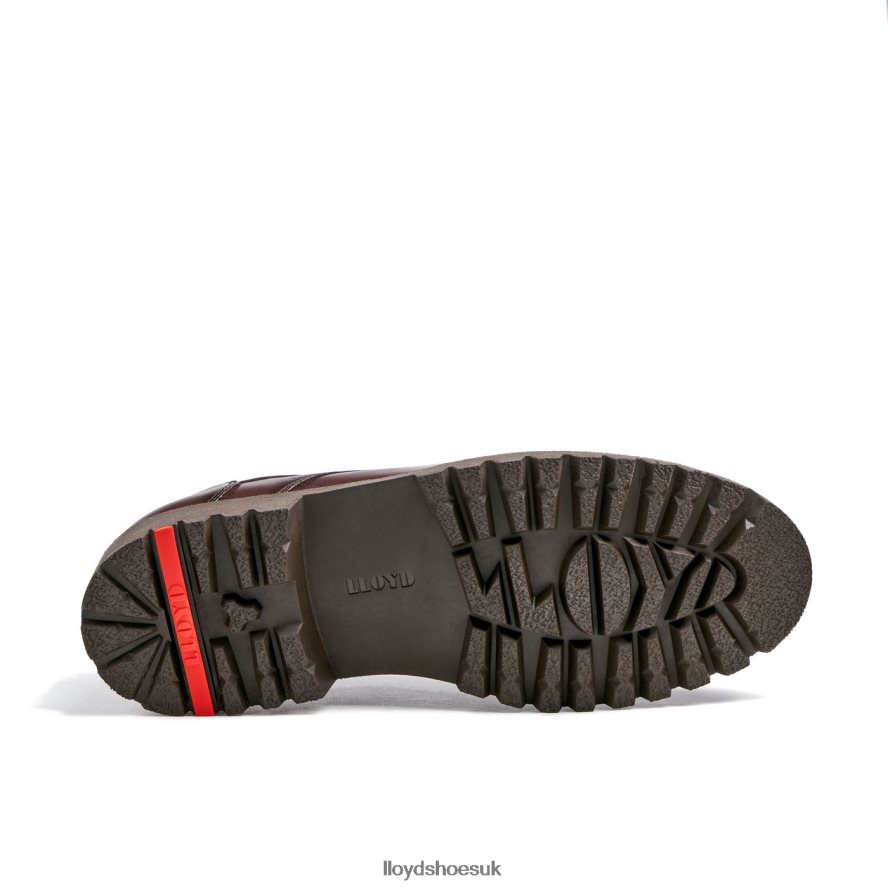 LLOYD Men DALTON H4BXXT39 Shoes brown