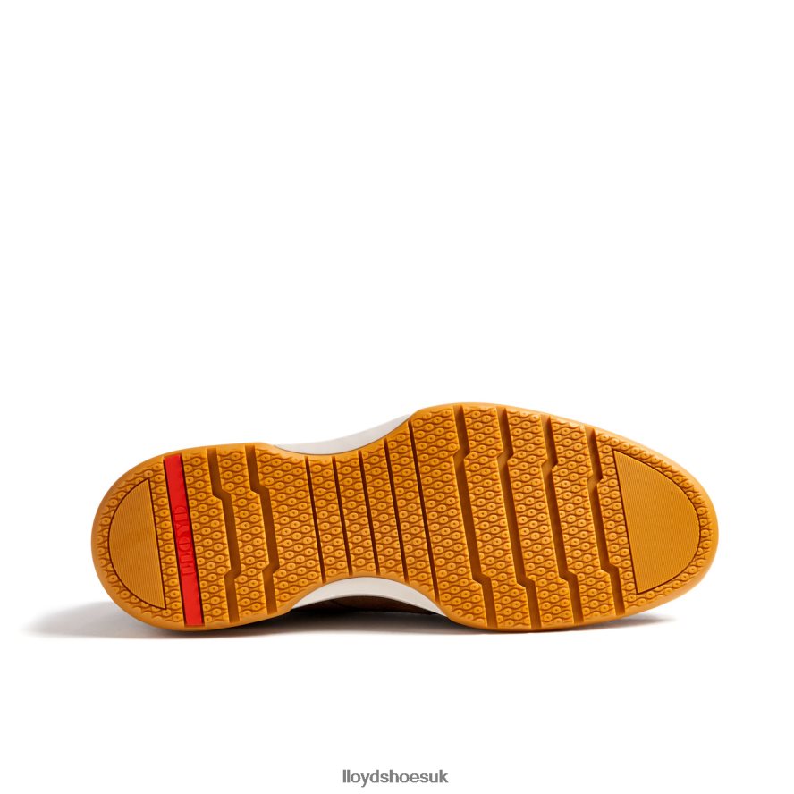 LLOYD Men DARRIS H4BXXT588 Shoes brown