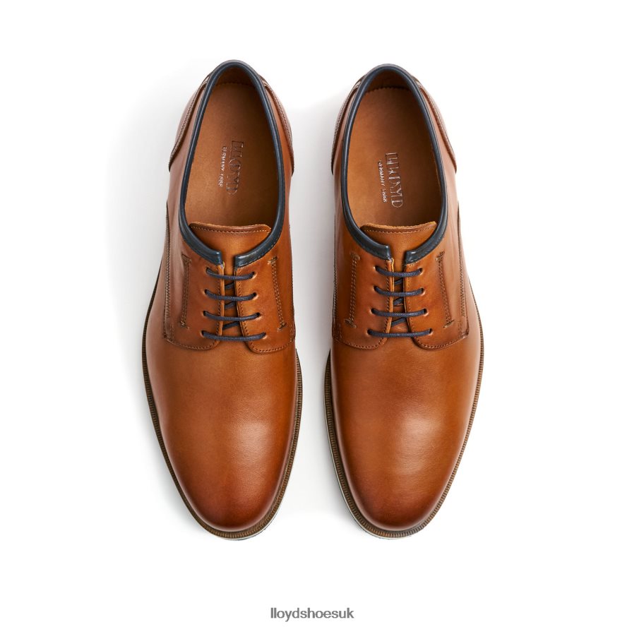 LLOYD Men DETROIT H4BXXT113 Shoes brown