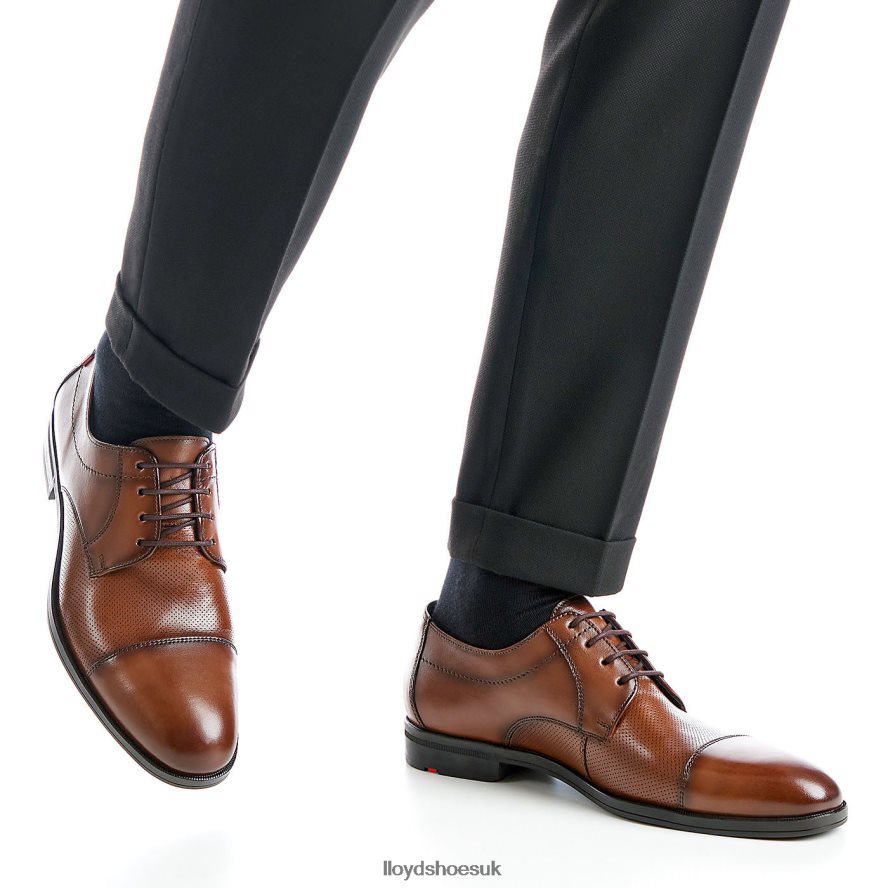 LLOYD Men FOLCO H4BXXT15 Shoes brown