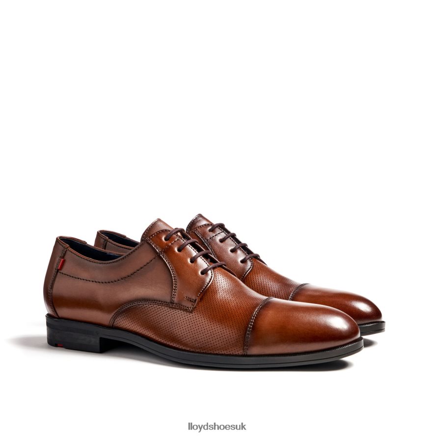 LLOYD Men FOLCO H4BXXT15 Shoes brown