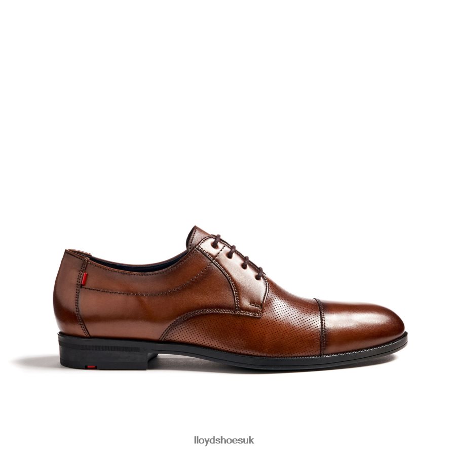 LLOYD Men FOLCO H4BXXT15 Shoes brown