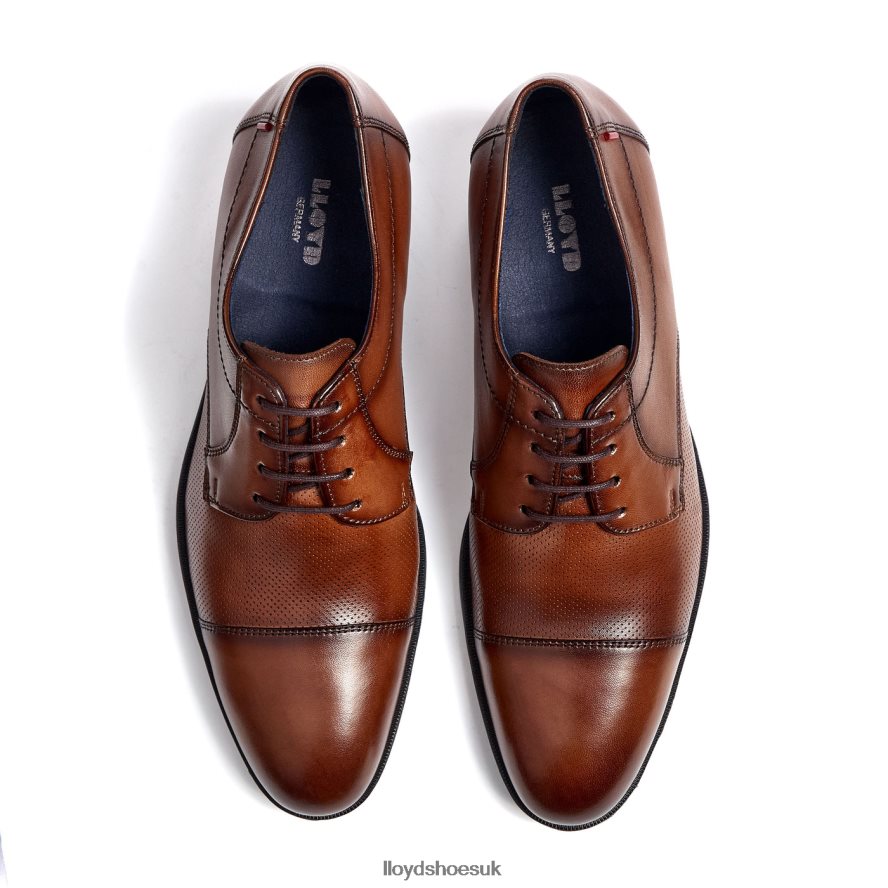 LLOYD Men FOLCO H4BXXT15 Shoes brown