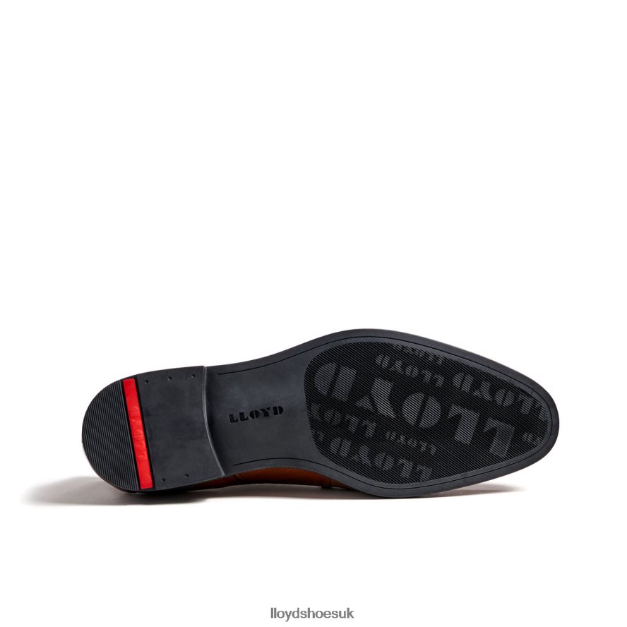 LLOYD Men FOLCO H4BXXT15 Shoes brown