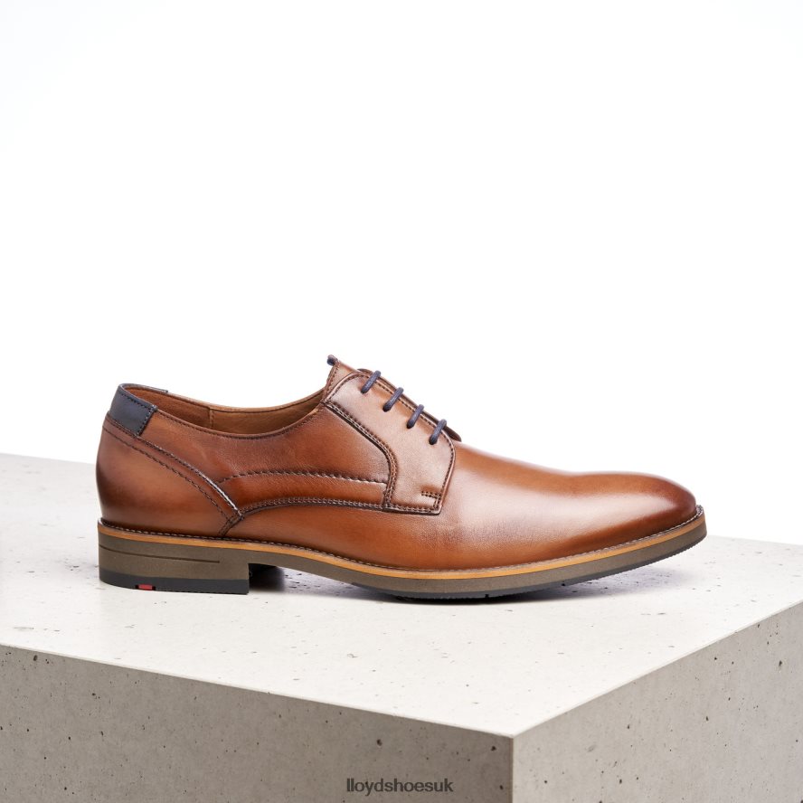 LLOYD Men HALDAN H4BXXT172 Shoes brown