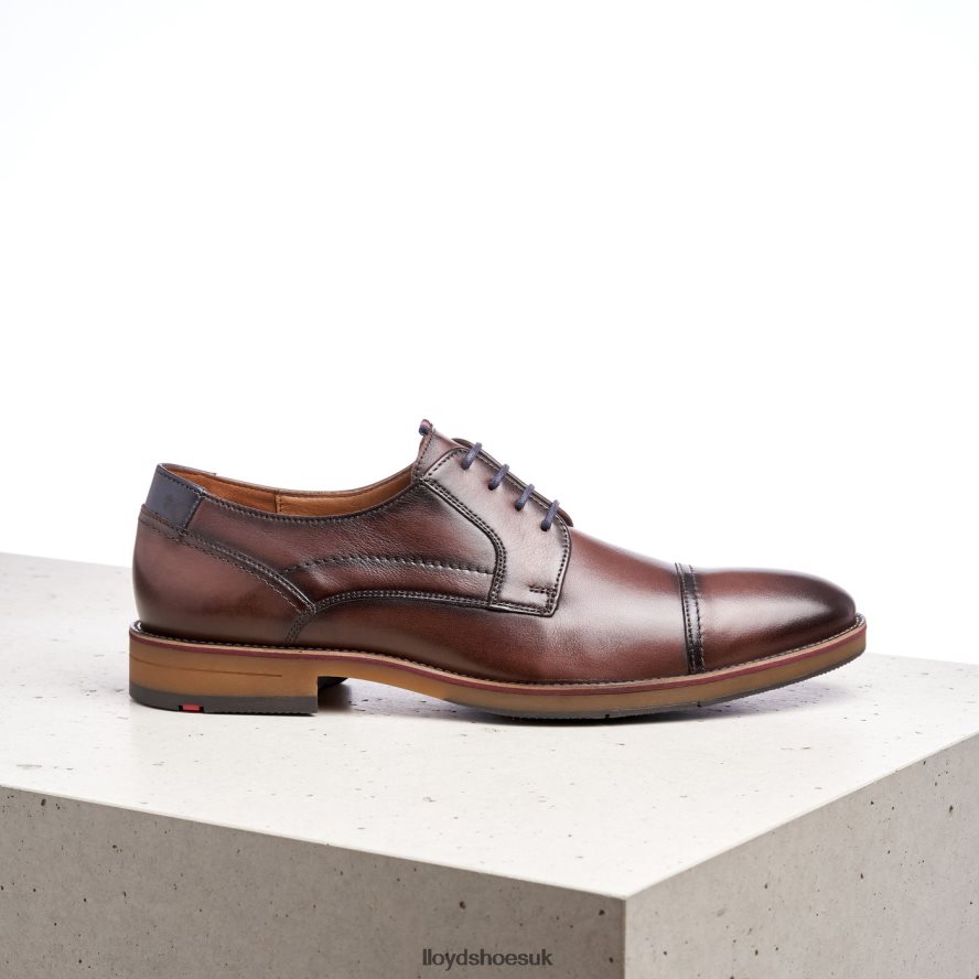 LLOYD Men HARPER H4BXXT176 Shoes brown
