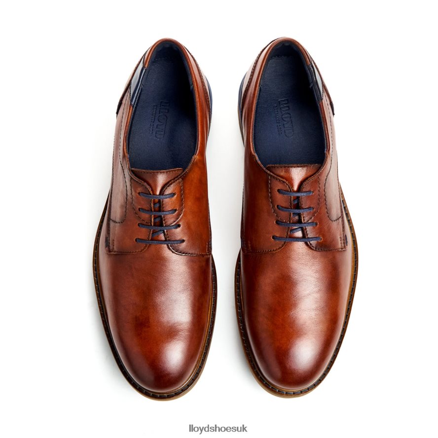 LLOYD Men HELSINKI H4BXXT586 Shoes brown