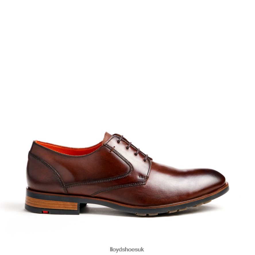 LLOYD Men JACKSON H4BXXT46 Shoes brown