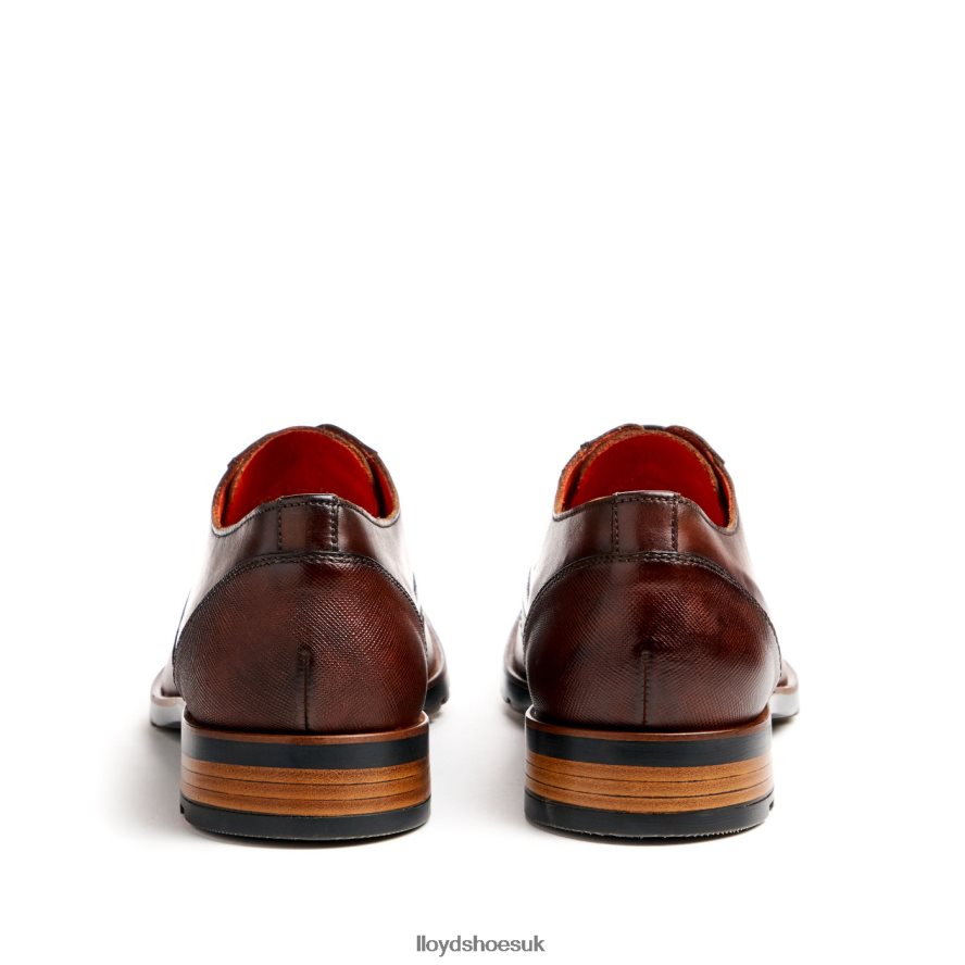LLOYD Men JACKSON H4BXXT46 Shoes brown