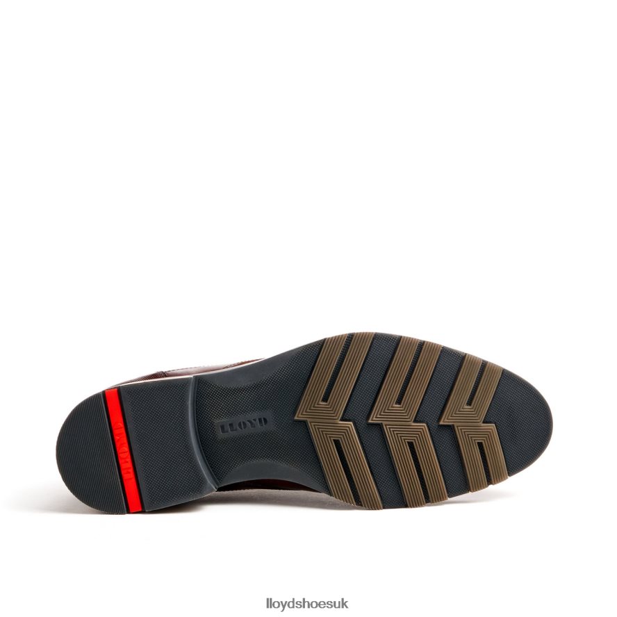 LLOYD Men JACKSON H4BXXT46 Shoes brown