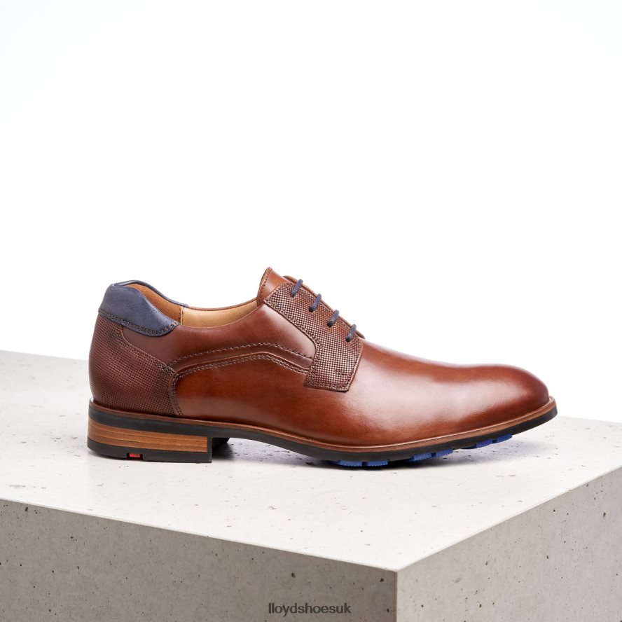 LLOYD Men JAKE H4BXXT199 Shoes brown