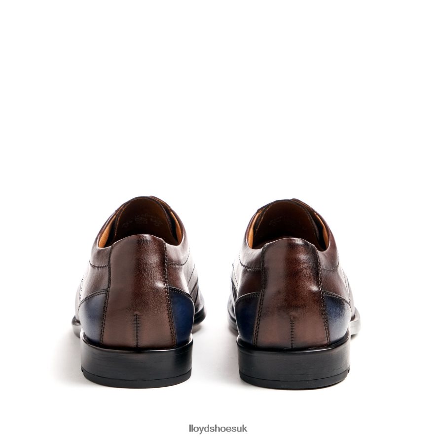 LLOYD Men KAIN (XTRAWIDE) H4BXXT51 Shoes brown