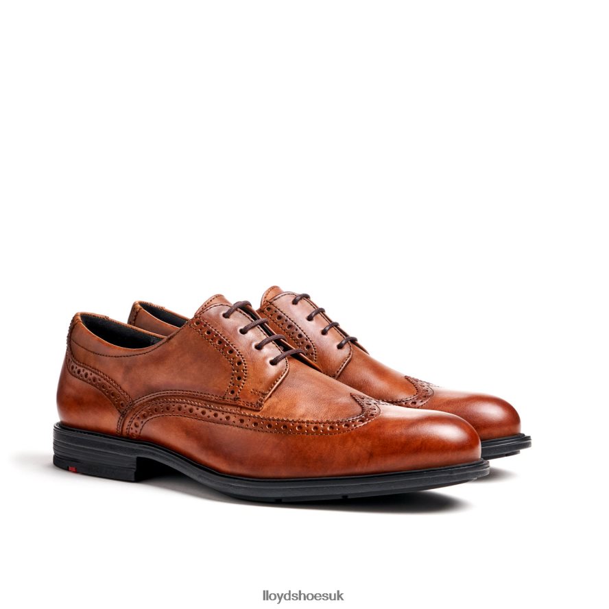 LLOYD Men KALEB (XTRAWIDE) H4BXXT20 Shoes brown