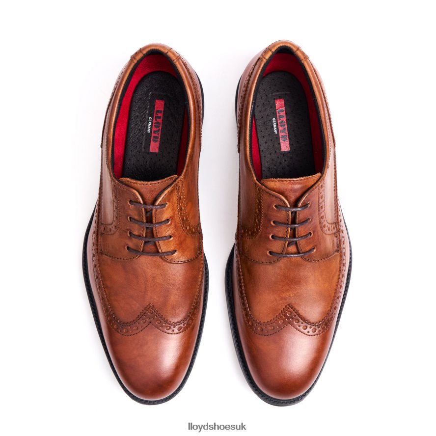 LLOYD Men KALEB (XTRAWIDE) H4BXXT20 Shoes brown