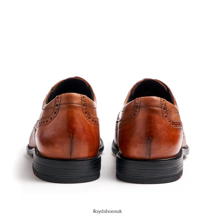 LLOYD Men KALEB (XTRAWIDE) H4BXXT20 Shoes brown