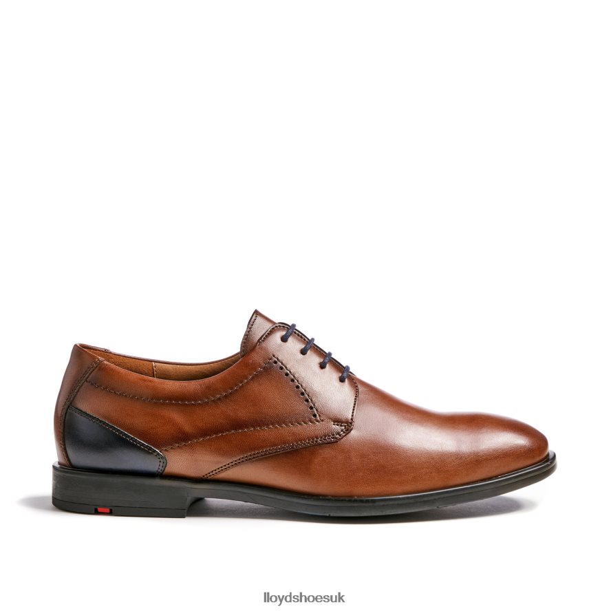 LLOYD Men KALMAR (XTRAWIDE) H4BXXT94 Shoes brown