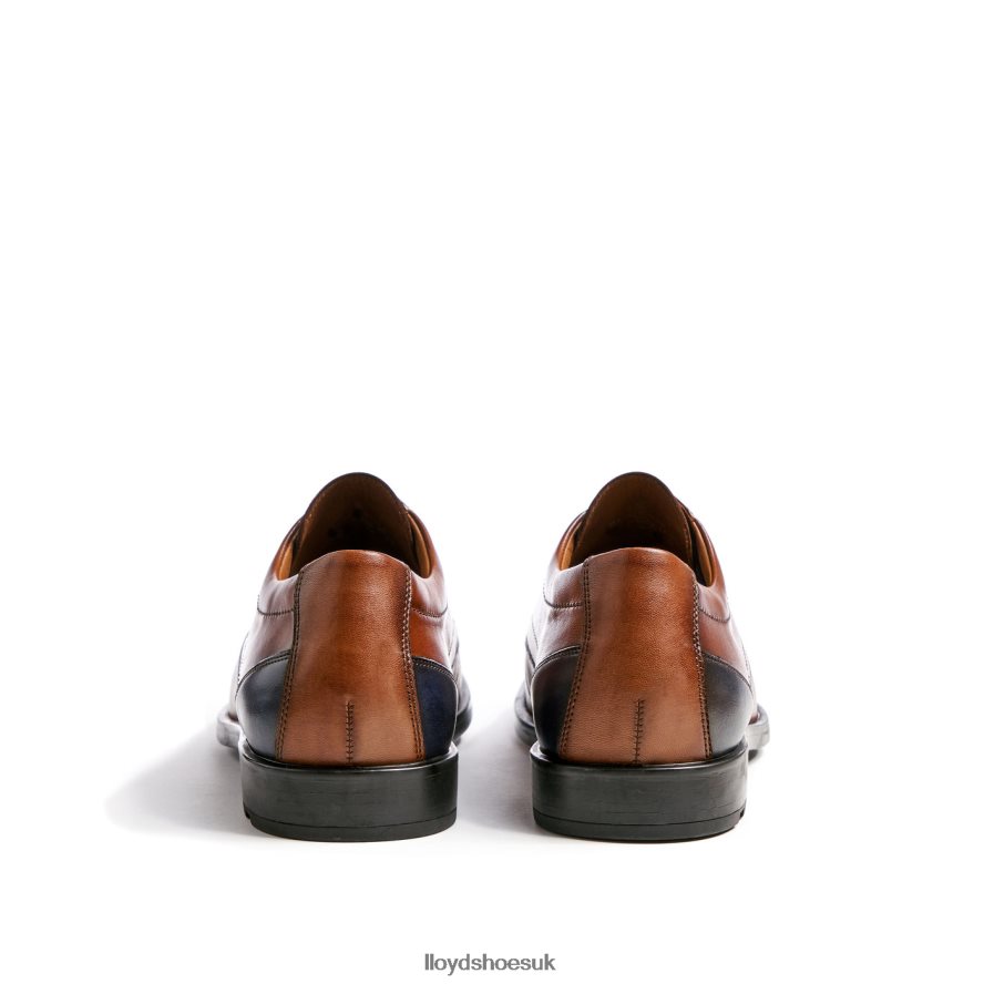 LLOYD Men KALMAR (XTRAWIDE) H4BXXT94 Shoes brown