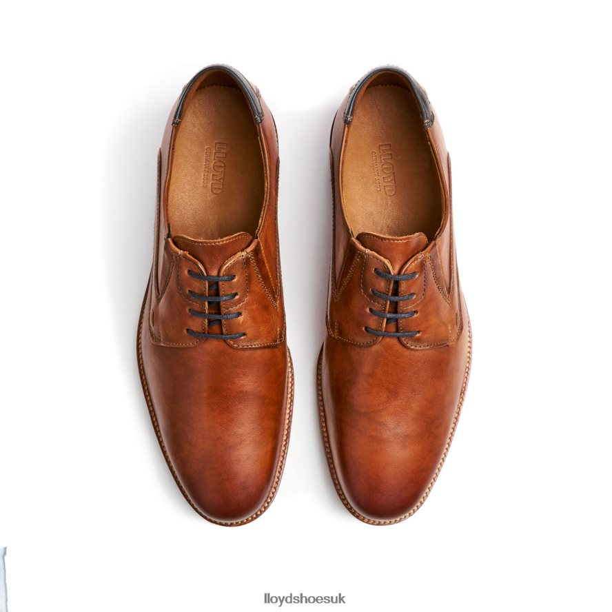 LLOYD Men KAZAN (XTRAWIDE) H4BXXT110 Shoes brown