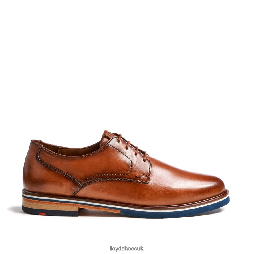 LLOYD Men KEAST (XTRAWIDE) H4BXXT207 Shoes brown