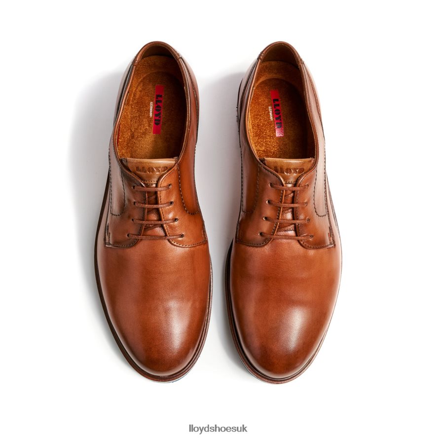 LLOYD Men KEAST (XTRAWIDE) H4BXXT207 Shoes brown