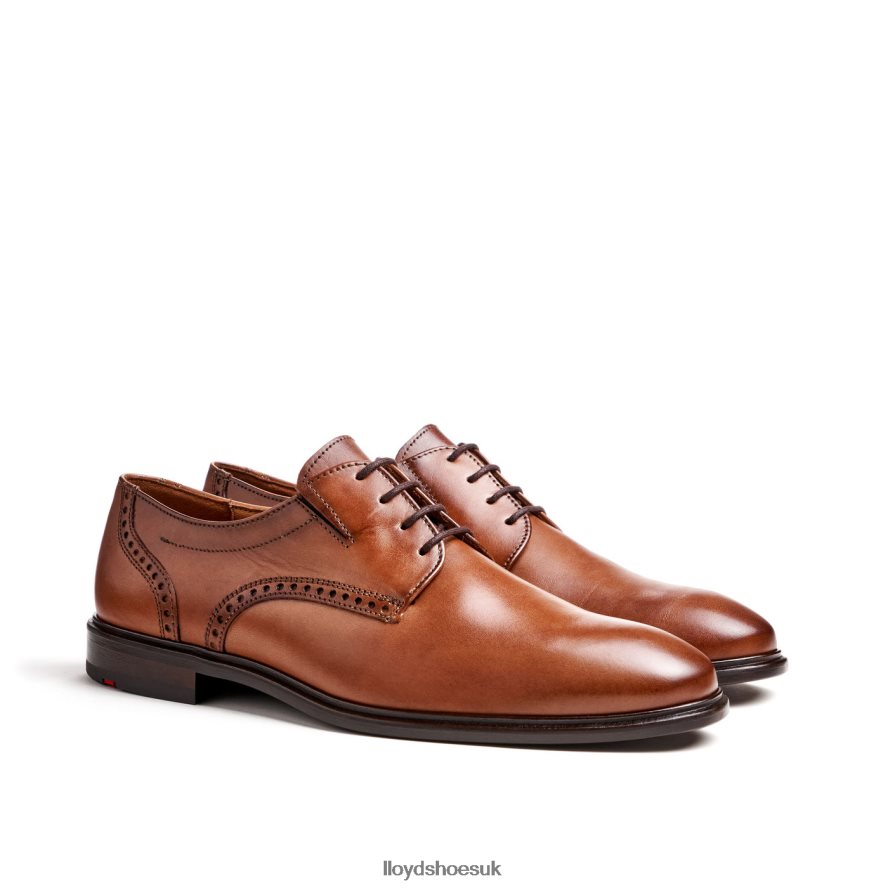 LLOYD Men KOOG (XTRAWIDE) H4BXXT75 Shoes brown