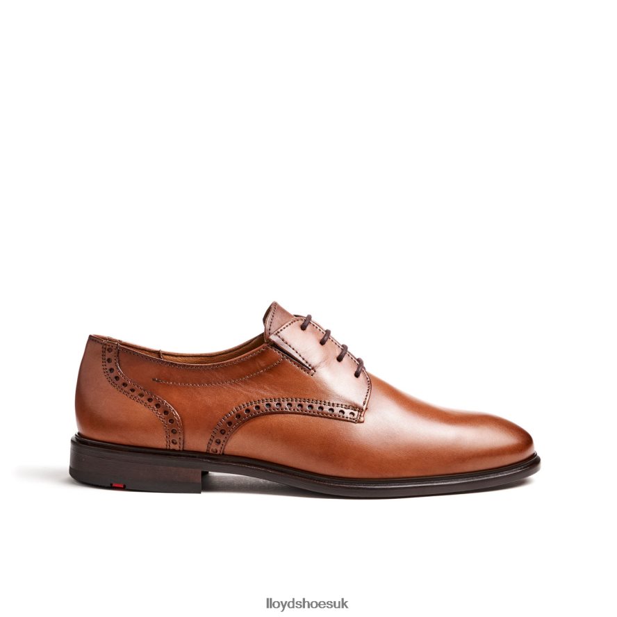 LLOYD Men KOOG (XTRAWIDE) H4BXXT75 Shoes brown