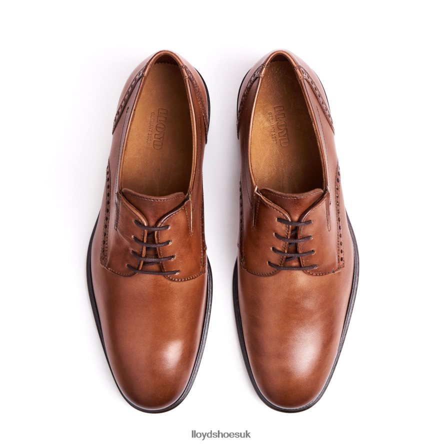 LLOYD Men KOOG (XTRAWIDE) H4BXXT75 Shoes brown