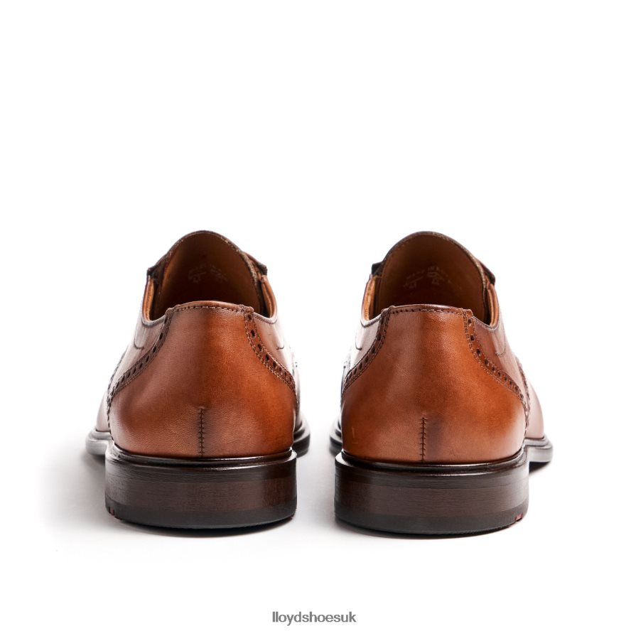 LLOYD Men KOOG (XTRAWIDE) H4BXXT75 Shoes brown