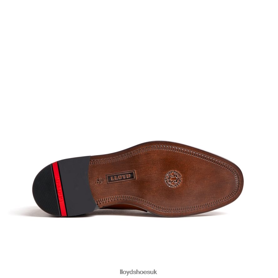 LLOYD Men KOOG (XTRAWIDE) H4BXXT75 Shoes brown