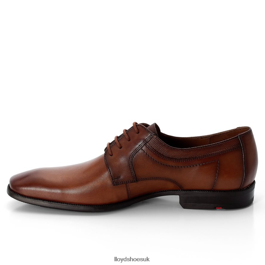 LLOYD Men LACOUR H4BXXT97 Shoes brown