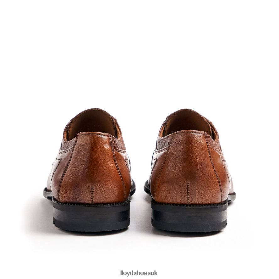 LLOYD Men LACOUR H4BXXT97 Shoes brown
