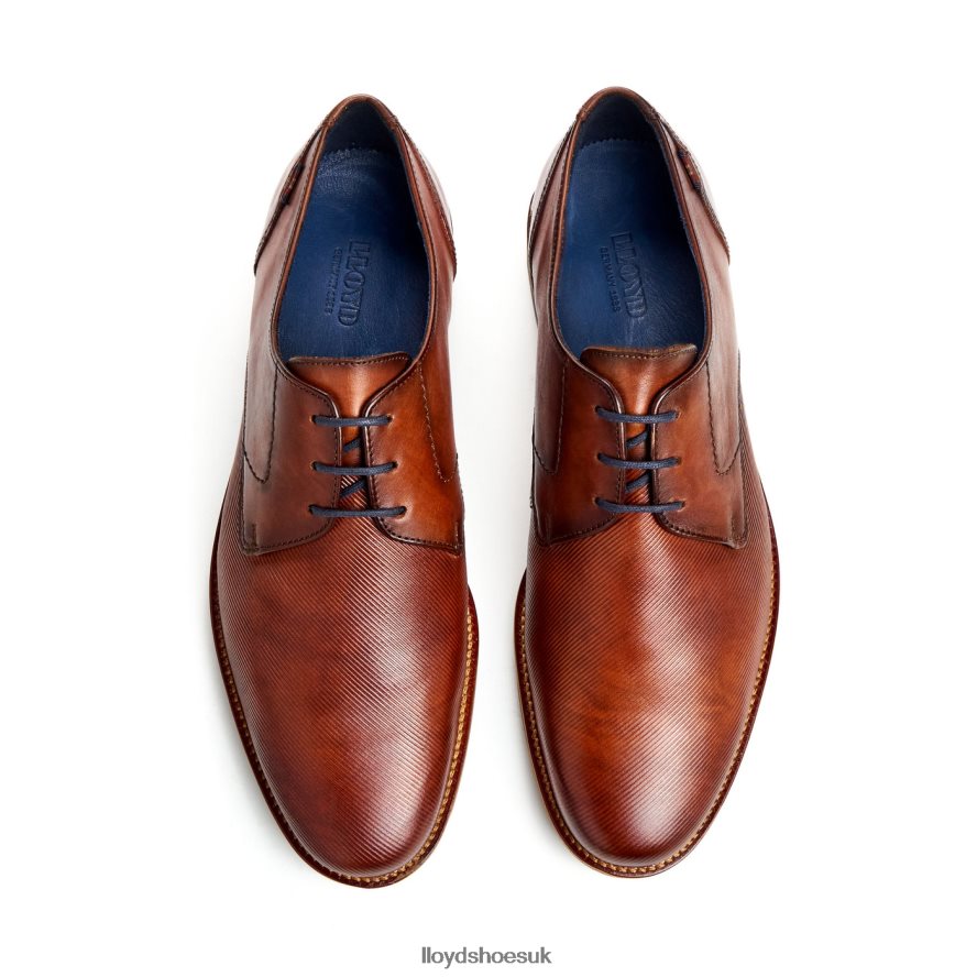 LLOYD Men LAVAL H4BXXT41 Shoes brown