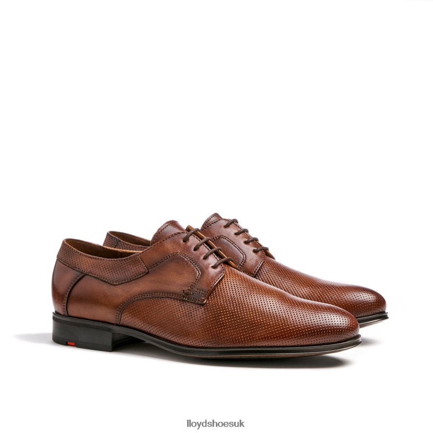 LLOYD Men LEVIN H4BXXT87 Shoes brown