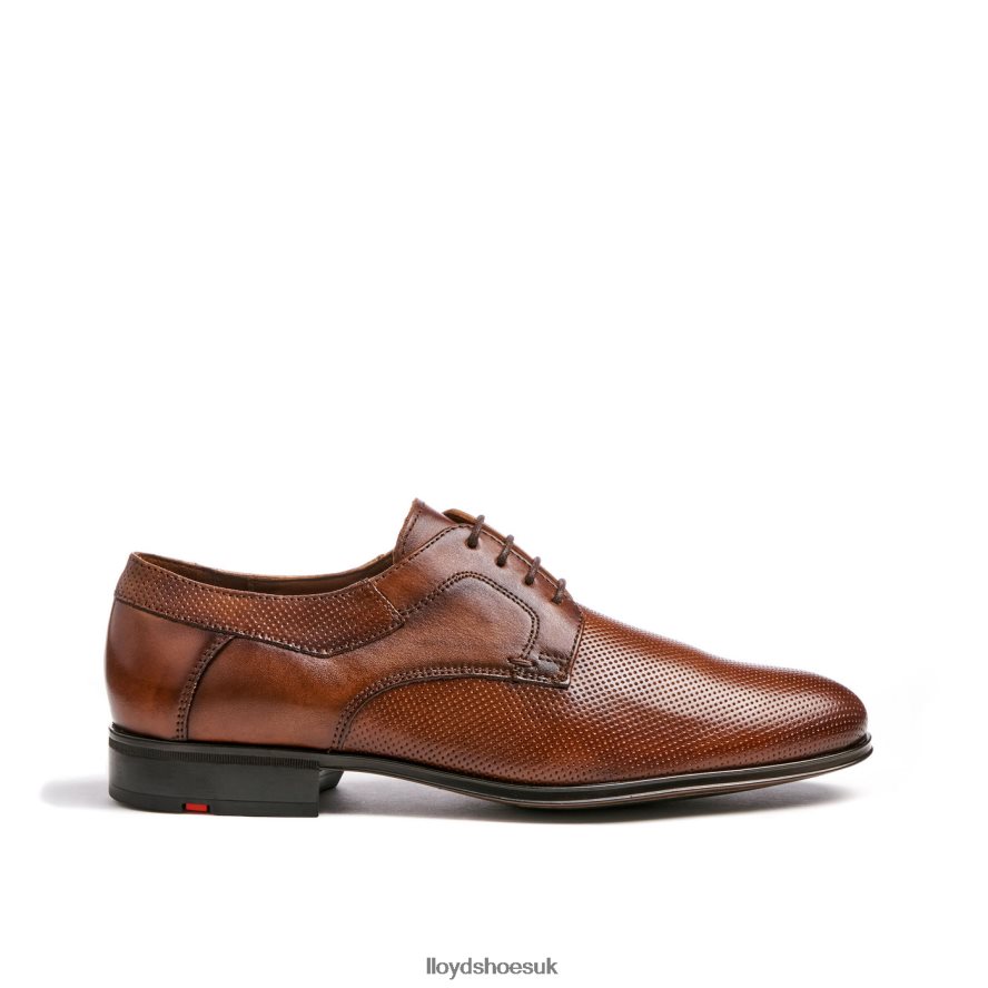 LLOYD Men LEVIN H4BXXT87 Shoes brown