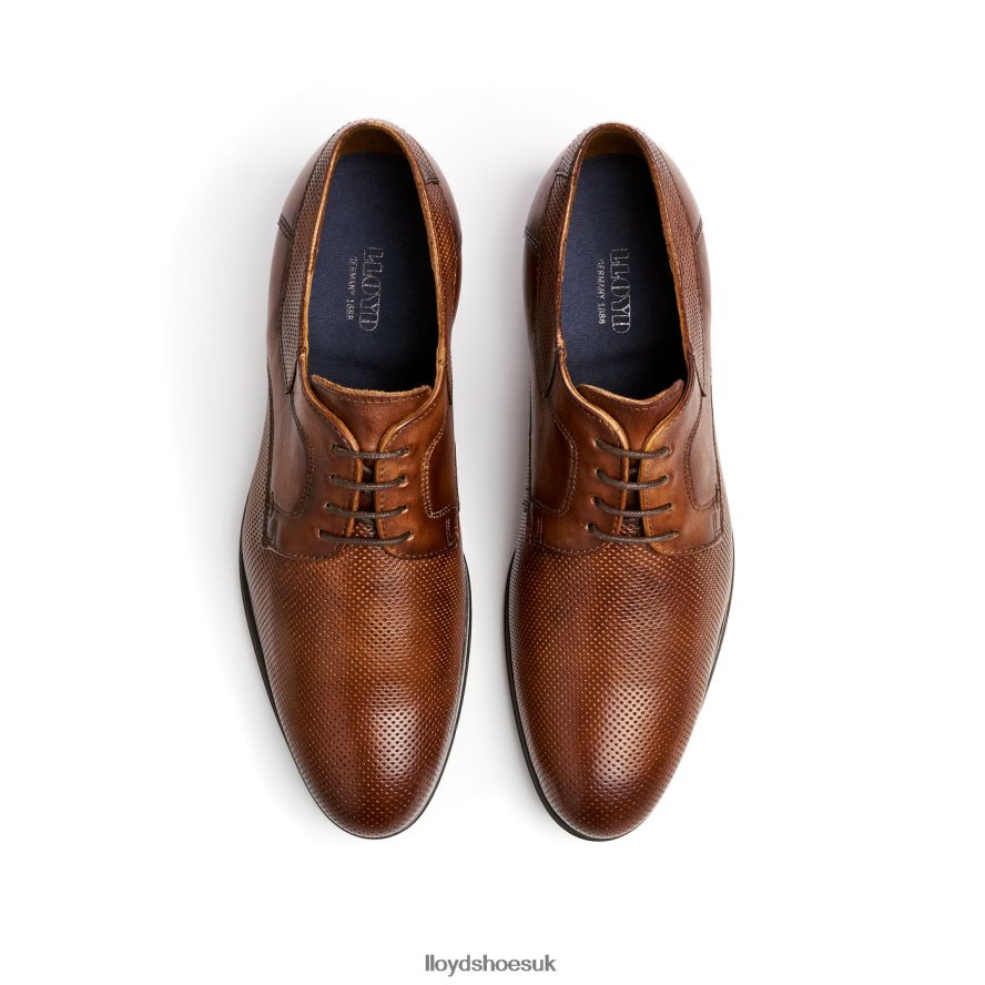 LLOYD Men LEVIN H4BXXT87 Shoes brown